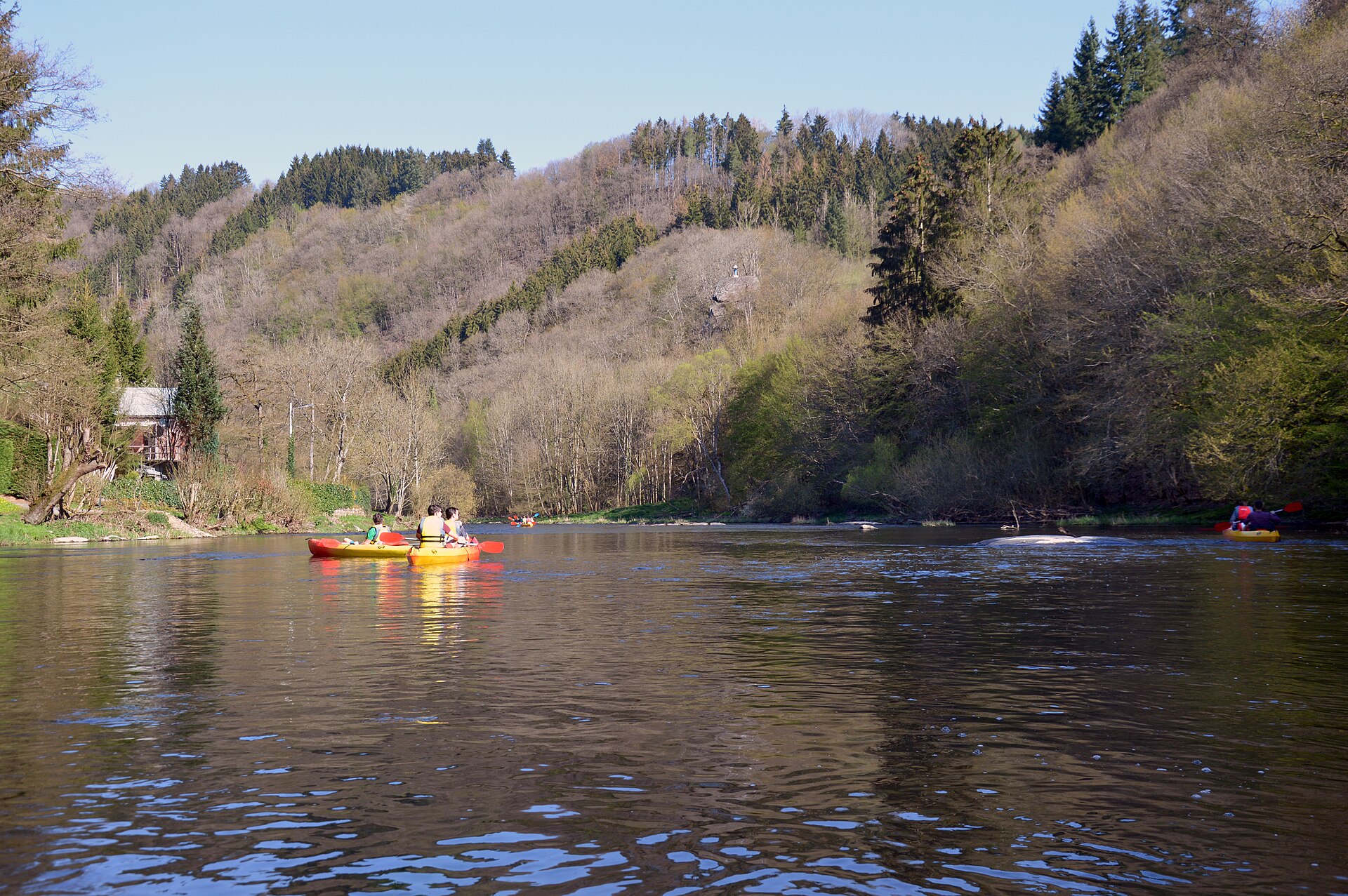 Kayakistes sur l'Ourthe entre les berges boisées